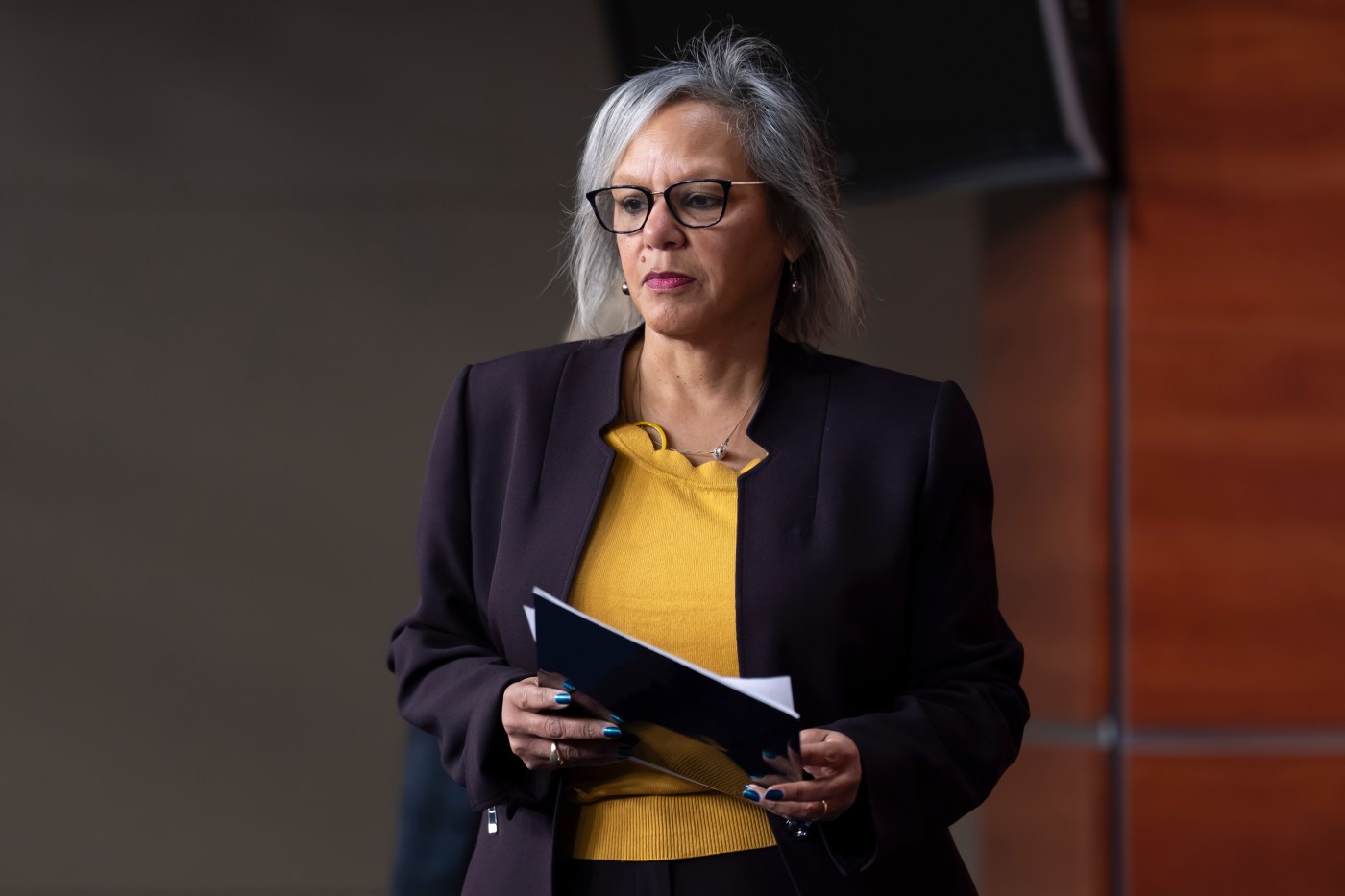 Koly Robi US Rep. Robin Kelly launches long-shot impeachment of DHS Secretary ...